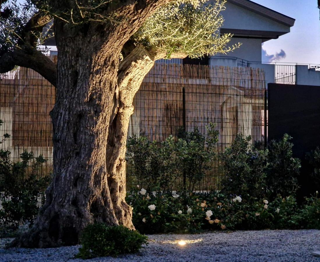 Ortosalato Agricamping Torregrotta Exteriér fotografie